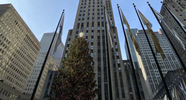 选择美国移民的理由是什么？