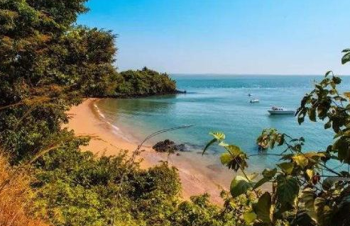 几内亚比绍绿卡能实现低成本就读国际学校