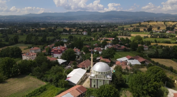 几内亚比绍绿卡有啥好处?为什么有不少家长想办