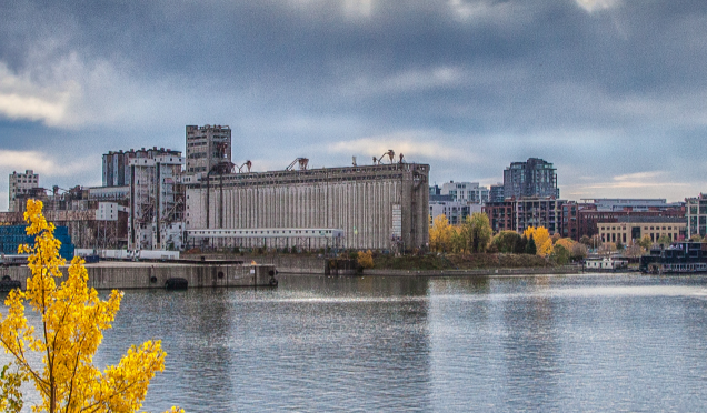 拥有加拿大绿卡能够领失业金吗？