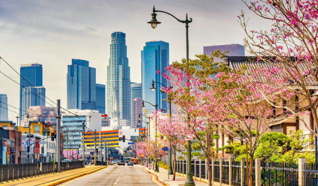 科技创业者必读：NIW如何为你的创新铺路