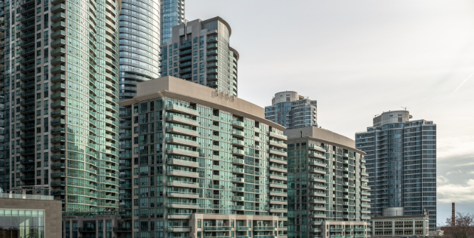 新移民性价比之王