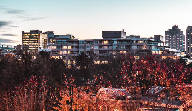 加拿大技术移民通道