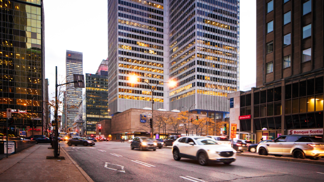 境内生子获得国籍