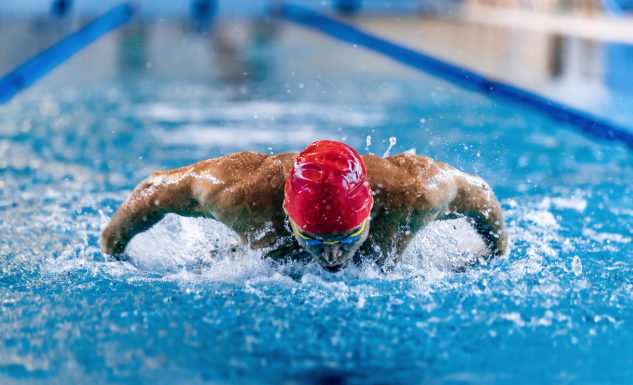 杰出人才移民领域