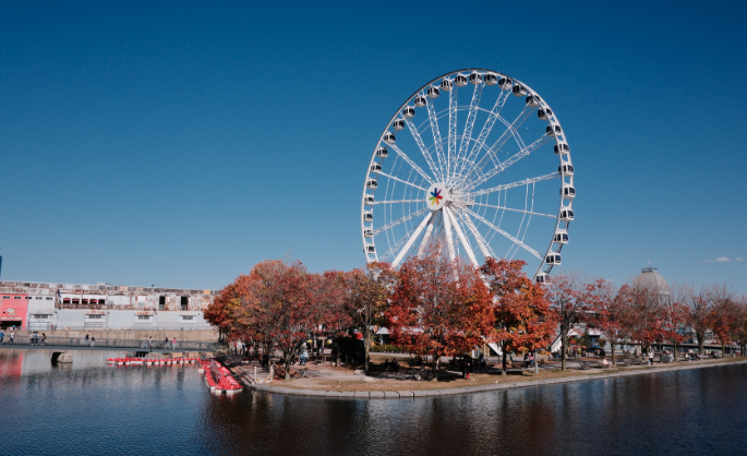 加拿大工作移民风险